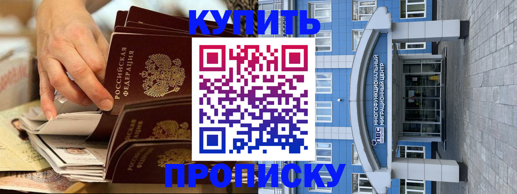 прописка гарантия в Тынде